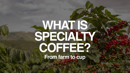 What is Specialty Coffee?
