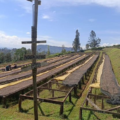 Long wooden benches on a grassy field with trees and mountains in the background