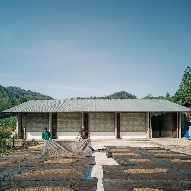 Indonesia Gayo Arkhan