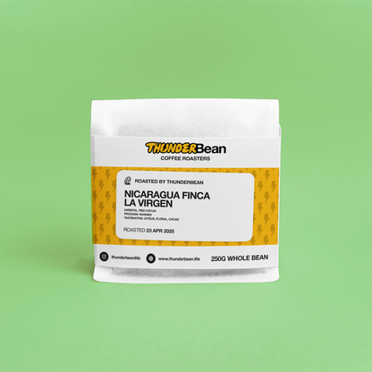 Nicaragua Finca La Virgen