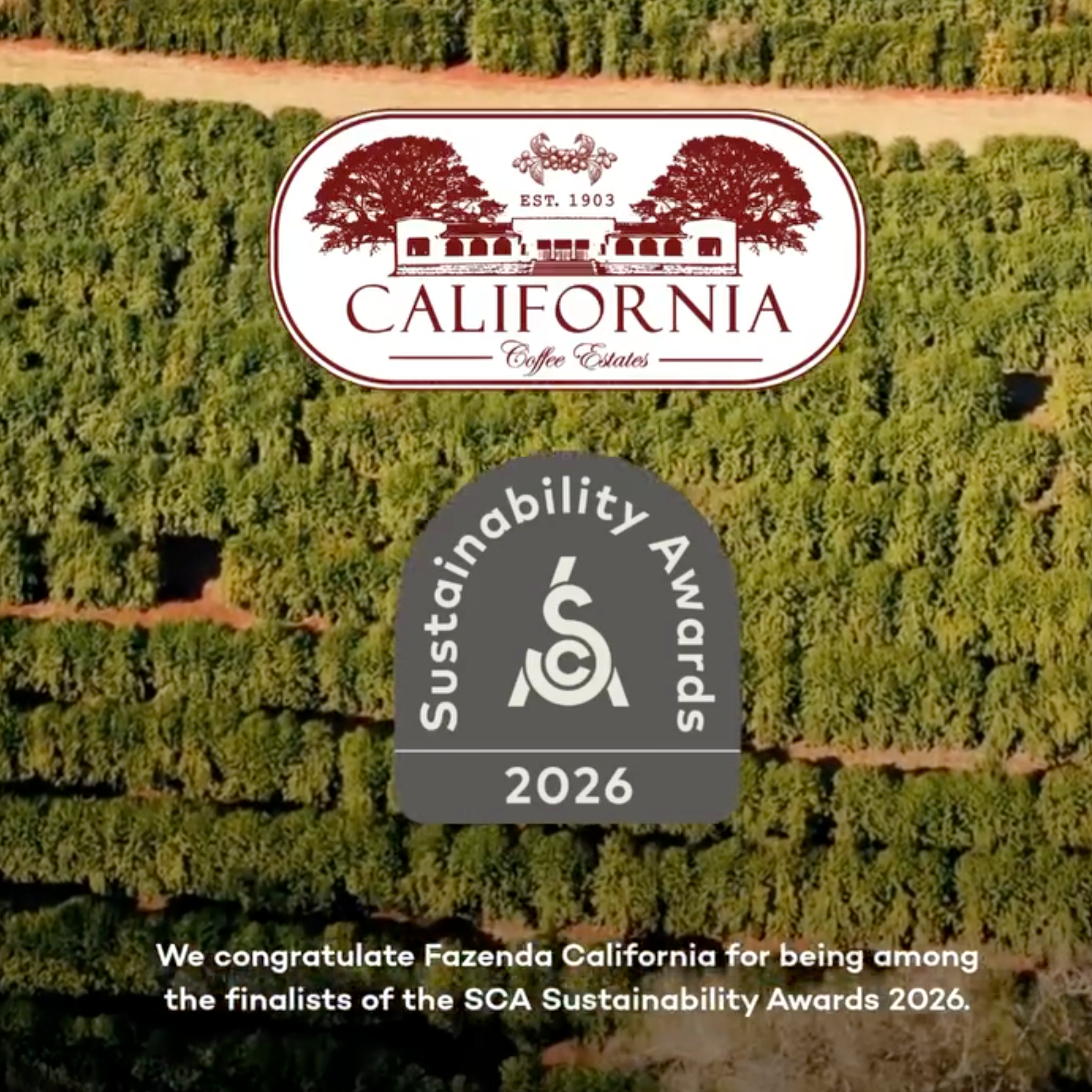 Agricultural landscape with 'California Coffee Estates' logo and SCA Sustainability Awards 2026 badge.