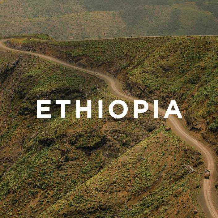 Ethiopia G1 Shakisso