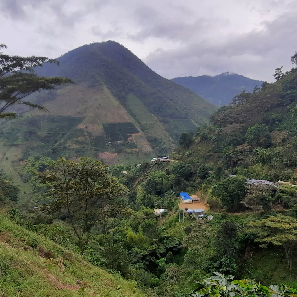 Colombia Tolima Natural