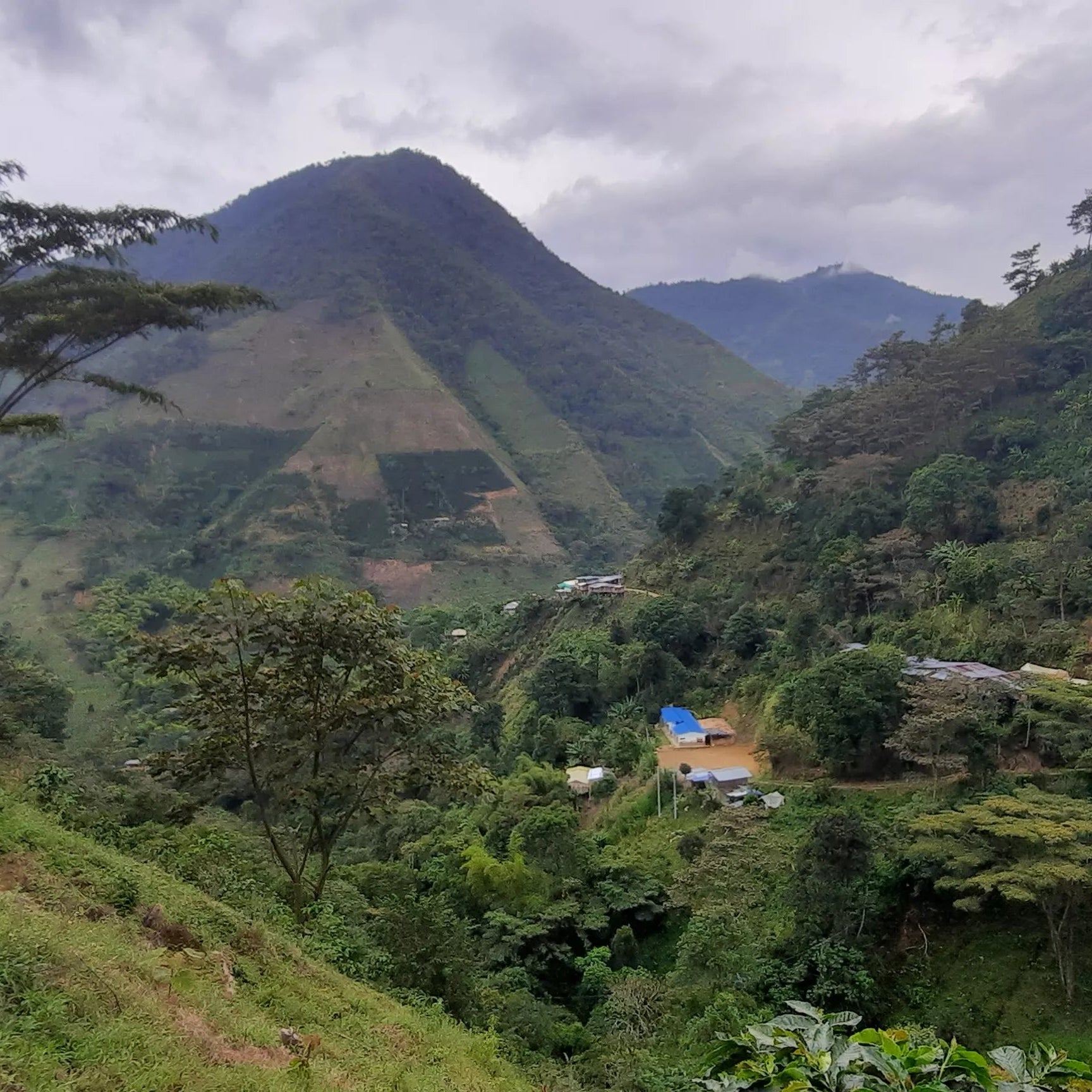 Colombia Tolima Natural