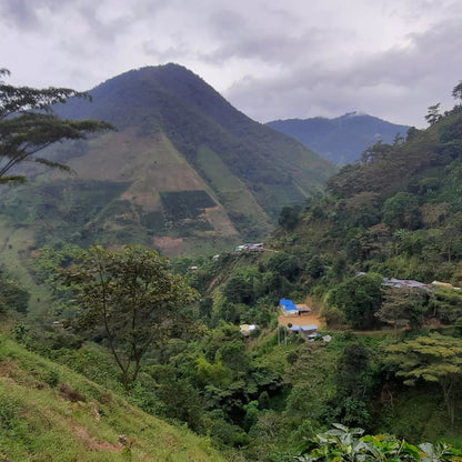 Colombia Tolima Natural