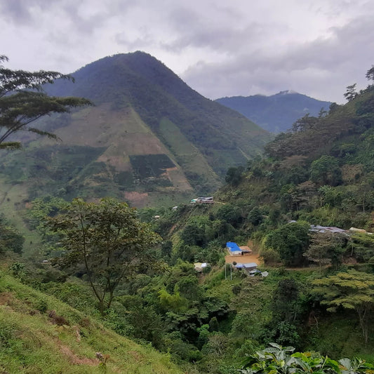 Colombia Tolima Natural